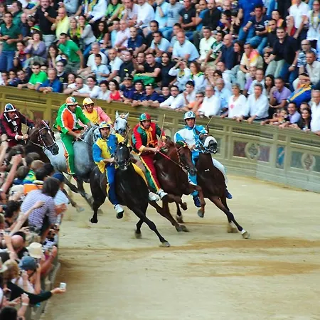 Nonno Elio, La Scelta Ideale Per Conoscere Siena